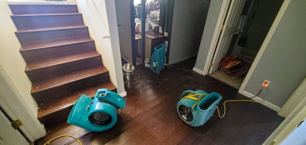 Best Fire Damage Restoration  in Woodmere, NY