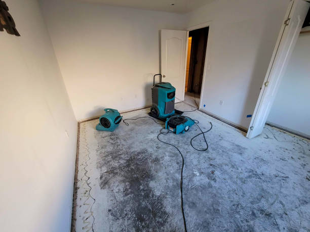  Woodmere, NY Water damage restoration Pros