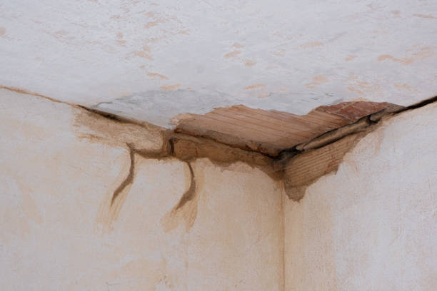  Woodmere, NY Water damage restoration Pros