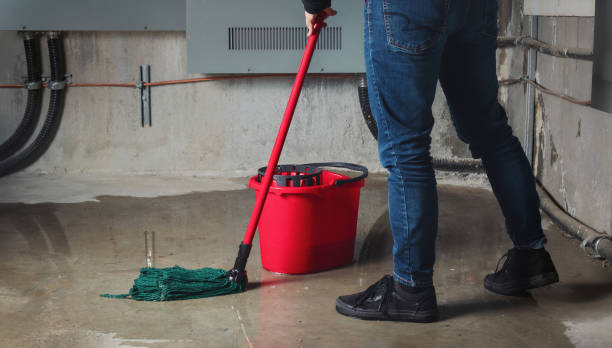 Best Local water damage restoration  in Woodmere, NY