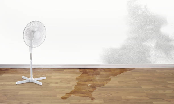 Best Flood damage cleanup  in Woodmere, NY