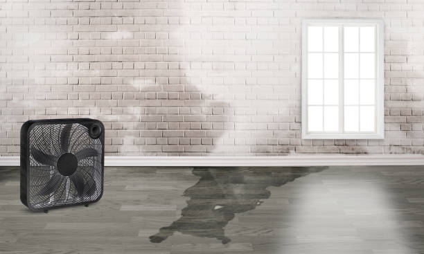 Best Residential water damage restoration  in Woodmere, NY