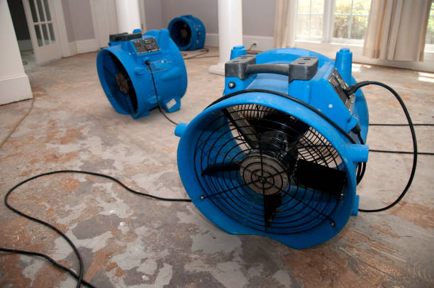 Best Carpet water damage restoration  in Woodmere, NY