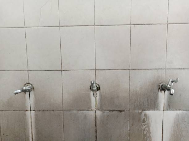 Best Water damage restoration cost  in Woodmere, NY