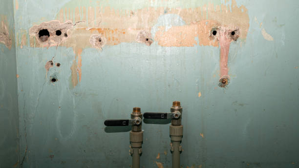 Best Basement water damage restoration  in Woodmere, NY